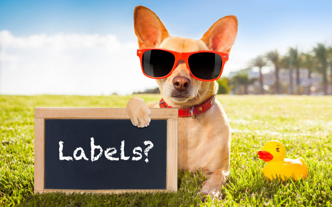 Considering Labels in Dog Training
