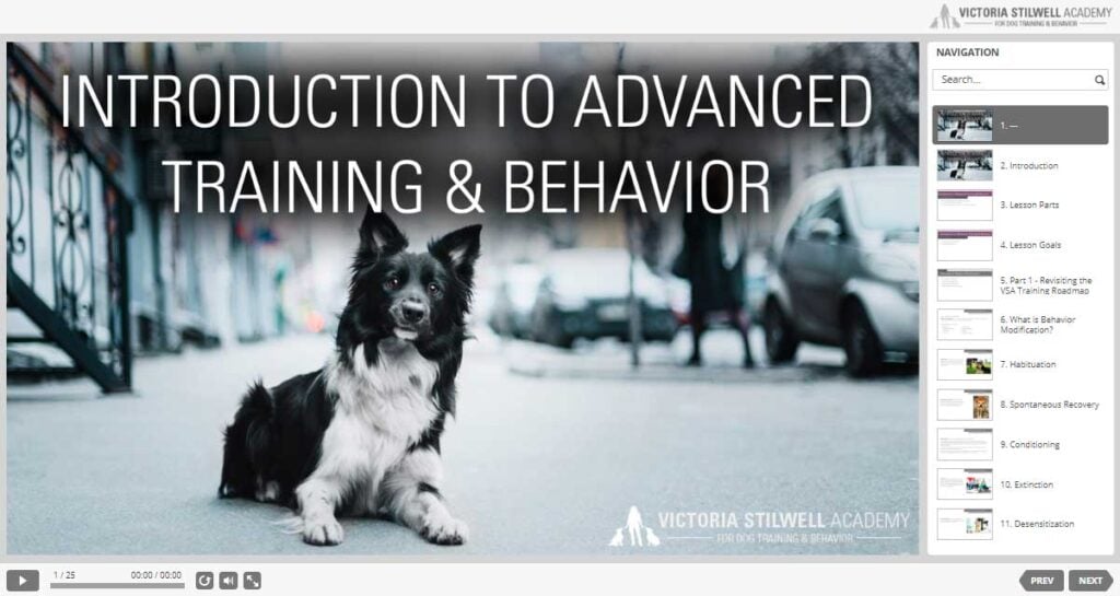 intro to dog training dashboard