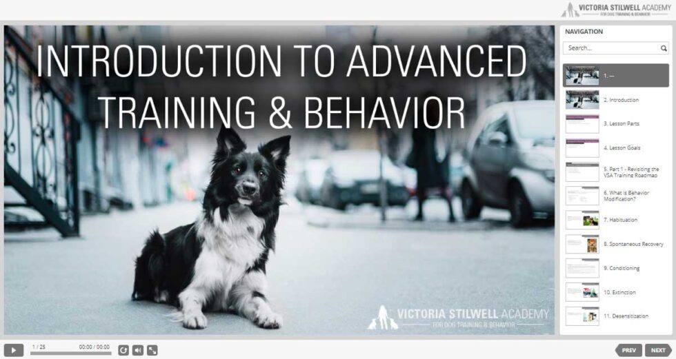 Dog Trainer Course Elite professional dog trainer certification