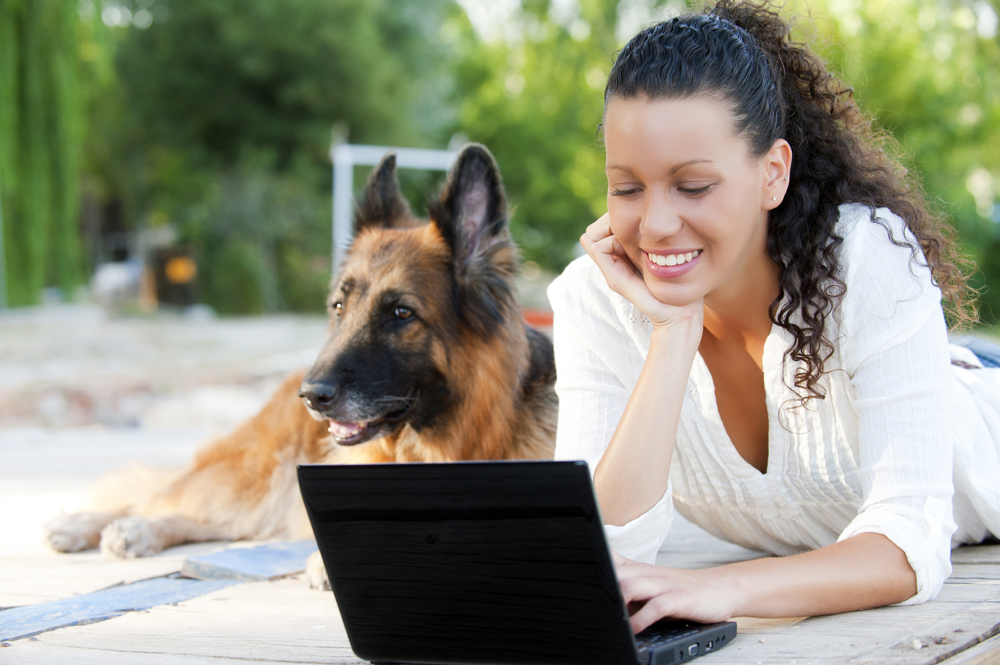 How To Choose The Right Dog Trainer School