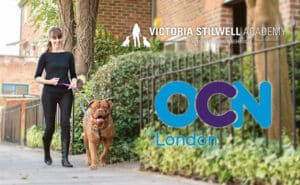 VSA accredited by OCN London